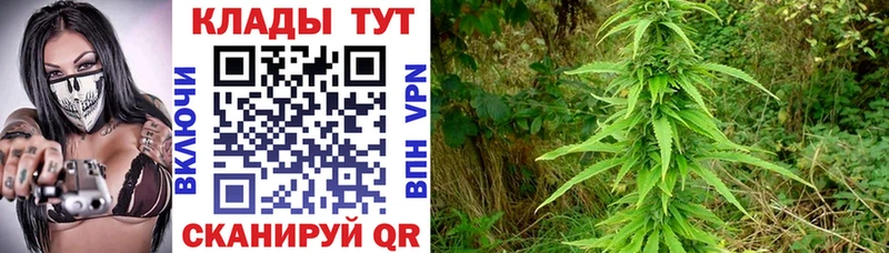 Купить наркотики Карабулак COCAIN Меф МАРИХУАНА