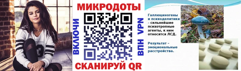 Галлюциногенные грибы Psilocybe как найти закладки Карабулак